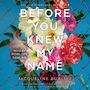 Before You Knew My Name [Audiobook]