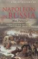 A Brief History of Napoleon in Russia