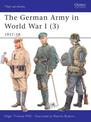 The German Army in World War I (3): 1917-18