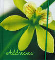 Green Address Book