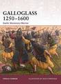 Galloglass 1250-1600: Gaelic Mercenary Warrior