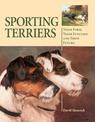 Sporting Terriers: Their Form, Their Function and Their Future