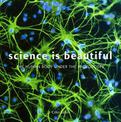 Science is Beautiful: The Human Body: Under the Microscope