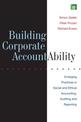 Building Corporate Accountability: Emerging Practice in Social and Ethical Accounting and Auditing