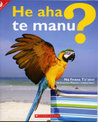 He aha te manu?  (What is a bird?)