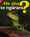 He aha te ngarara? (What is a reptile?)