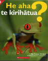 He aha te kirihatua? (What is an amphibian?)