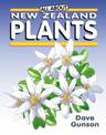 All About New Zealand Plants