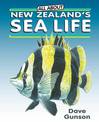 All About New Zealands Sea Life