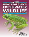 All About New Zealands Freshwater Wildlife