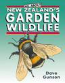 All About New Zealands Garden Wildlife