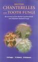 British Chanterelles and Tooth Fungi: Account of the British Cantharelloid and Stipitate Hydnoid Fung