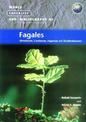 World Checklist and Bibliography of Fagales: Betulaceae, Corylaceae, Fagageae and Ticodendraceae