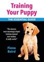 Training Your Puppy: The Essential Guide