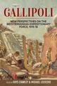 Gallipoli: New Perspectives on the Mediterranean Expeditionary Force, 1915-16