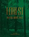 Forest: Walking among trees