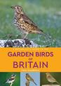A Naturalist's Guide to the Garden Birds of Britain (2nd edition)