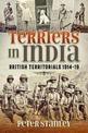 'Terriers' in India: British Territorials 1914-19