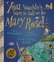 You Wouldn't Want To Sail on the Mary Rose!