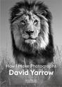 David Yarrow: How I Make Photographs