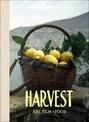 Harvest:Art, Film and Food: "Art, Film and Food"