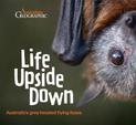 Life Upside Down: Australia'S Grey-Headed Flying-Foxes