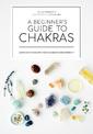 A beginner's guide to chakras: Open the path to positivity, wellness and purpose