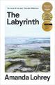 The Labyrinth: Winner of the 2021 Miles Franklin Literary Award
