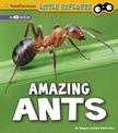 Amazing Ants: a 4D Book (Little Entomologist 4D)