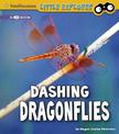 Dashing Dragonflies: a 4D Book (Little Entomologist 4D)
