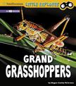 Grand Grasshoppers: a 4D Book (Little Entomologist 4D)