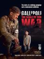 Gallipoli: The Scale of Our War