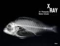 X-Ray: Art Photography * Werner Schuster