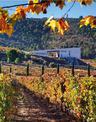 The World Winery Collection: Innovative design, sustainability and the landscape