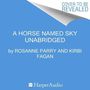 A Horse Named Sky [Audiobook]